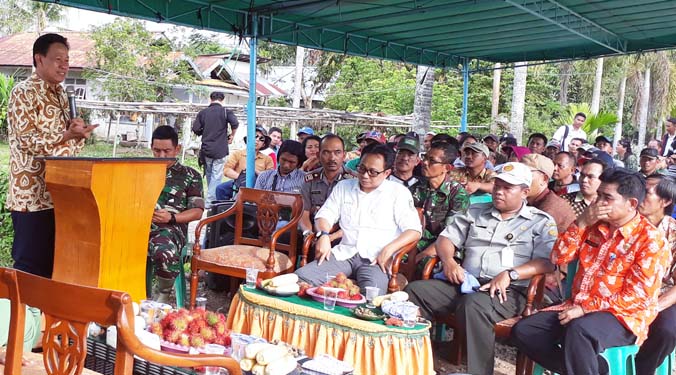 Aram LTT 2018, Luas Tanam Padi Kalbar Masuk `Tiga Besar` Nasional